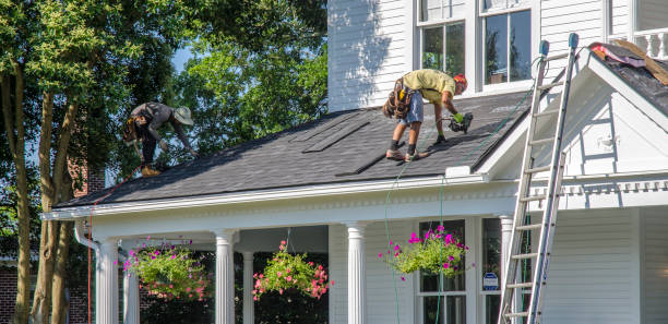 Best Roof Moss and Algae Removal  in Sackets Harbor, NY